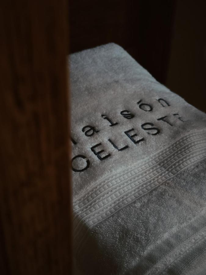 Maison Celeste Mexikóváros Kültér fotó
