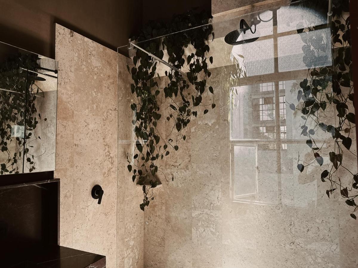 Maison Celeste Mexikóváros Kültér fotó